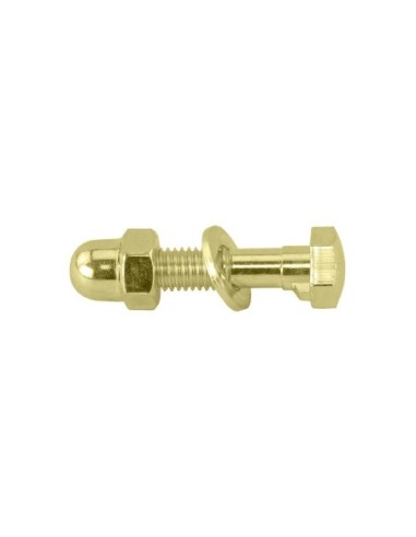 Seatpost Binder Bolt & Nut Hex Head Gold.